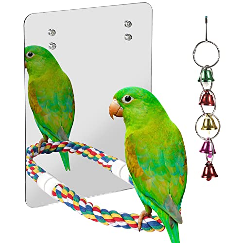 Werwing Vogelspielzeug – 25,4 cm Acryl-Spiegel mit bunter Seilsitzstange – ideal für Sittiche, Papageien und kleine bis mittelgroße Vögel von Werwing