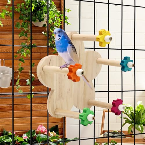 Werwing Vogelspielzeug – Rotierende Riesenradstange aus Holz – ideal für Sittiche, Papageien und kleine bis mittelgroße Vögel – lustig, sicher und funktional von Werwing