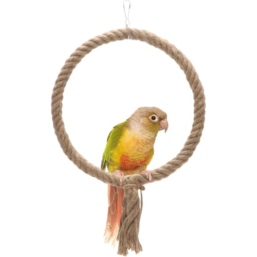 Werwing Vogelspielzeug – Seilschaukel & Kletterstange Set für Sittiche, Papageien & kleine Vögel – einfache Installation, Gesundheit – Förderung von Werwing