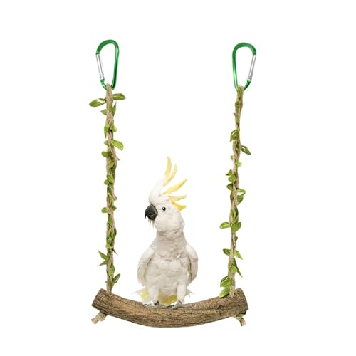 Werwing Vogelspielzeug – Seilschaukel und Sitzstange – ideal für Sittiche, Papageien & kleine Vögel – Spaß, sicher & Gesundheit – fördernd von Werwing