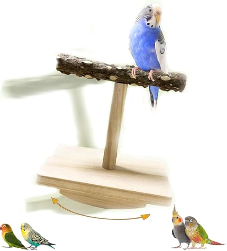 Werwing Vogelspielzeug – Sitzstange aus Naturholz für Sittiche, Papageien & mittelgroße Vögel – Training, Spielen & Bereicherung von Werwing