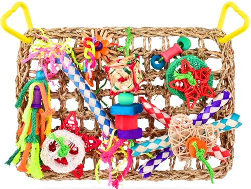 Werwing Vogelspielzeug für Papageien & Sittiche - Natürliche Seegras Hängematte mit Futtersuche & Zerkleinern Spielzeug | Kaubarer Spielplatz, Schaukel & Sitzstange für Nymphensittiche, Lovebird von Werwing