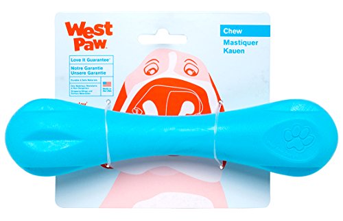 WEST PAW 27556 Hurley Large, Aqua, 500 g (1er Pack) von West Paw