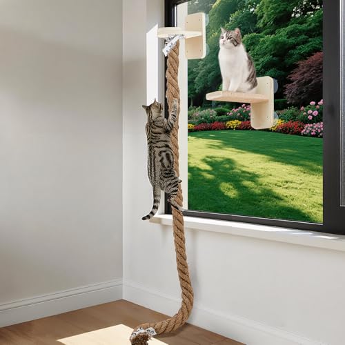 Weysat Katzen-Kletterseil, Fensterstange mit 150 cm Kletterseil, Wandmontage, Katzenbaum, Turm, Spielzeug mit Kratzbaum, Kätzchenleiter, Sprungplattform, Wandstufen zum Spielen und Ausruhen, 2 Stück von Weysat