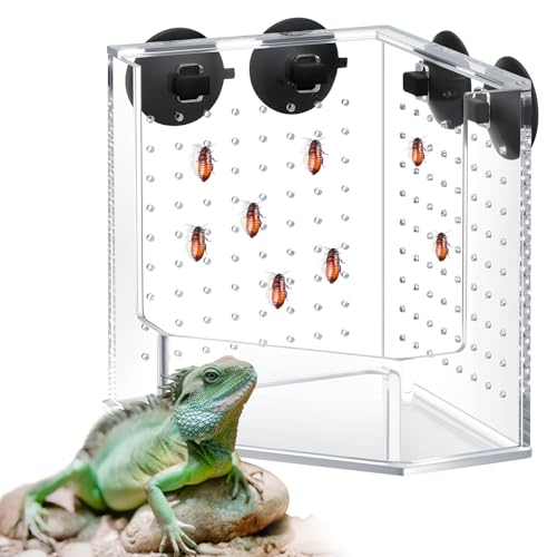 Weysat Reptilien-Eck-Jagdschale, transparente Acryl-Reptilien-Futterbox mit 4 Saugnäpfen, Tank und Aquarium-Zubehör für Eidechse, Bartagamäleon, Gecko, Frosch, 9,9 x 9,9 x 15,5 cm von Weysat
