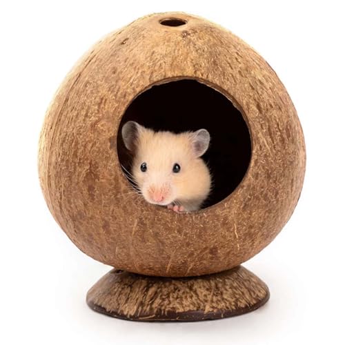 Kleines Kokosnuss Hamsterhaus, Hamster Kokosnuss Nest, Kokosnussschalen Hauskäfig Futterspender, Hamster House, Hamsterhaus, Kokosnussschalen Hauskäfig, für Hamster Nest Haustier Kleintier Käfig von Weyying
