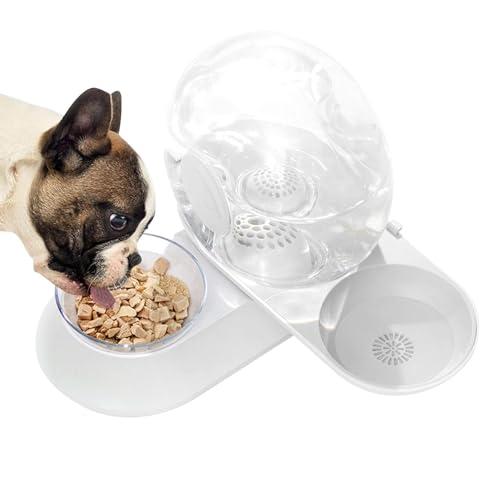 Wezalget Automatischer Haustier Trinknapf | Katzenfutterspender Wassernapf Spender - Schneckenform Trinkbrunnen, 2 in 1 Haustier Wasser und Futternapf Set, Automatischer Futterspender Wezalget Automatischer Haustier Trinknapf | Katzenfutterspender Wassernapf Spender - Schneckenform Trinkbrunnen, 2 in 1 Haustier Wasser und Futternapf Set, Automatischer Futterspender von Wezalget