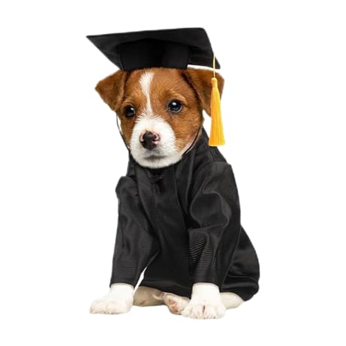 Wezalget Hunde Abschlusshut & Umhang, Waschbares Abschlusskostüm Mit Shirt & Hut, Kostüm-Set mit Quasten für Kleine Hunderassen, Welpen & Kätzchen von Wezalget