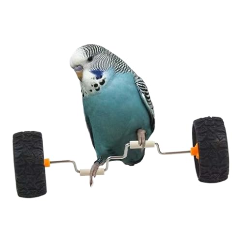 Wezalget Parrot Balance Bike | Roller Vogelkäfig Balance Spielzeug - Intelligenzförderndes Fahrzeug für Sitzstange - Für Zuhause Zoofachhandel Tischplatte Glas von Wezalget