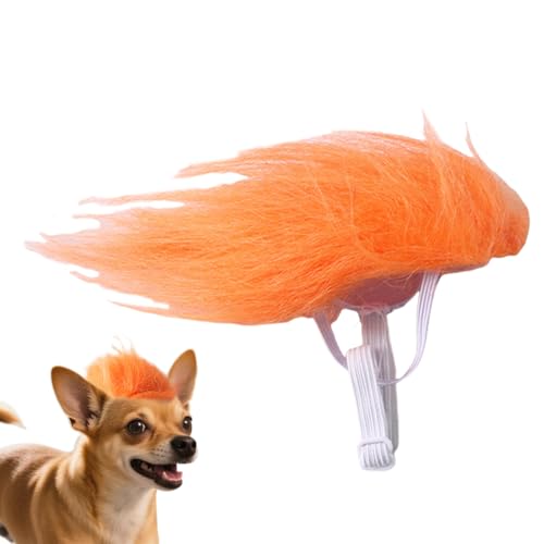 Wezalget Wig Für Katzen | Orange Lustige Perücke Für Haustiere | Katzen Cosplay Zubehör Tierkopfschmuck Kostüm Für Halloween Weihnachten Reisen Indoor Outdoor Feste Partys Wezalget Wig Für Katzen | Orange Lustige Perücke Für Haustiere | Katzen Cosplay Zubehör Tierkopfschmuck Kostüm Für Halloween Weihnachten Reisen Indoor Outdoor Feste Partys von Wezalget