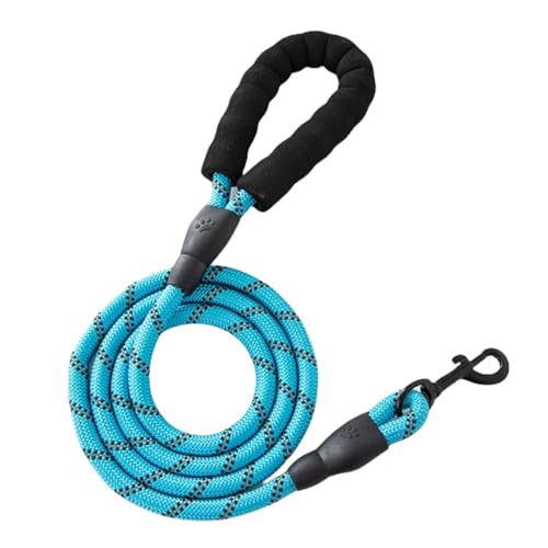 Hundeleine für Hunde,rutschfeste Explosionssichere Laufleine mit Abschließbarem Karabiner & Gepolsterter Handschlaufe,Starke Trainingsleine für Kleine Mittlere Große Hunde,Himmelblau,2mx1,2CM von Whakano
