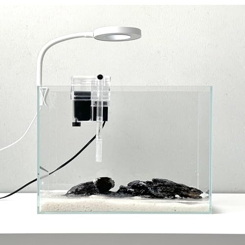 Nano-Aquarium-Set, kleines Betta-Fisch-Aquarium, 2,2 Liter, randloses Glas-Fischbecken mit Filter, Licht und Aquascaping-Dekorationen (transparent, komplett) von Whalix