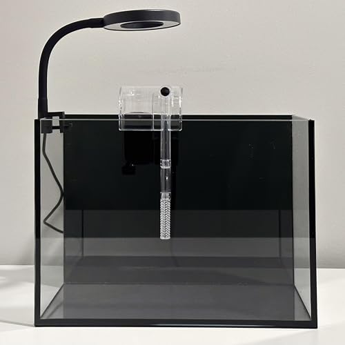 Nano-Aquarium-Set, kleines Betta-Fisch-Aquarium, randloses Glas-Fischbecken mit Filter, Licht und Aquascaping-Dekorationen (schwarz, essentiell) von Whalix