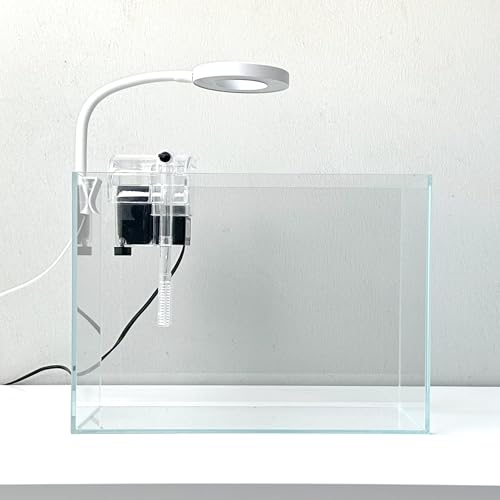 Nano-Aquarium-Set, kleines Betta-Fisch-Aquarium, randloses Glas-Fischbecken mit Filter, Licht und Aquascaping-Dekorationen (transparent, unverzichtbar) von Whalix