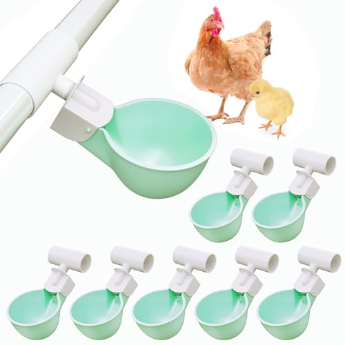 Hühner-Bewässerungsbecher mit PVC-T-Armaturen (Grün) (Grün, 8 Tassen) von Whimsii