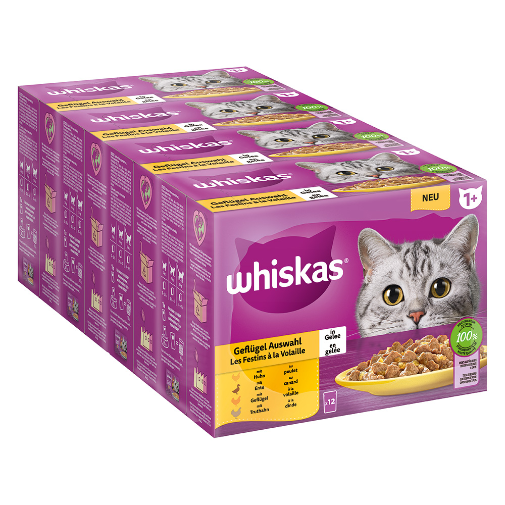 Jumbopack Whiskas 1+ Adult Frischebeutel 144 x 85 g - Geflügelauswahl in Gelee von Whiskas