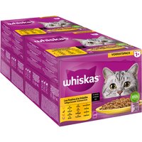 Jumbopack Whiskas 1+ Adult Frischebeutel 144 x 85 g - Geflügelauswahl in Sauce von Whiskas