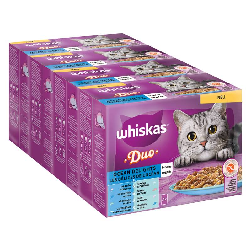 Jumbopack Whiskas Duo Portionsbeutel 144 x 85 g - Ocean Delights in Gelee von Whiskas