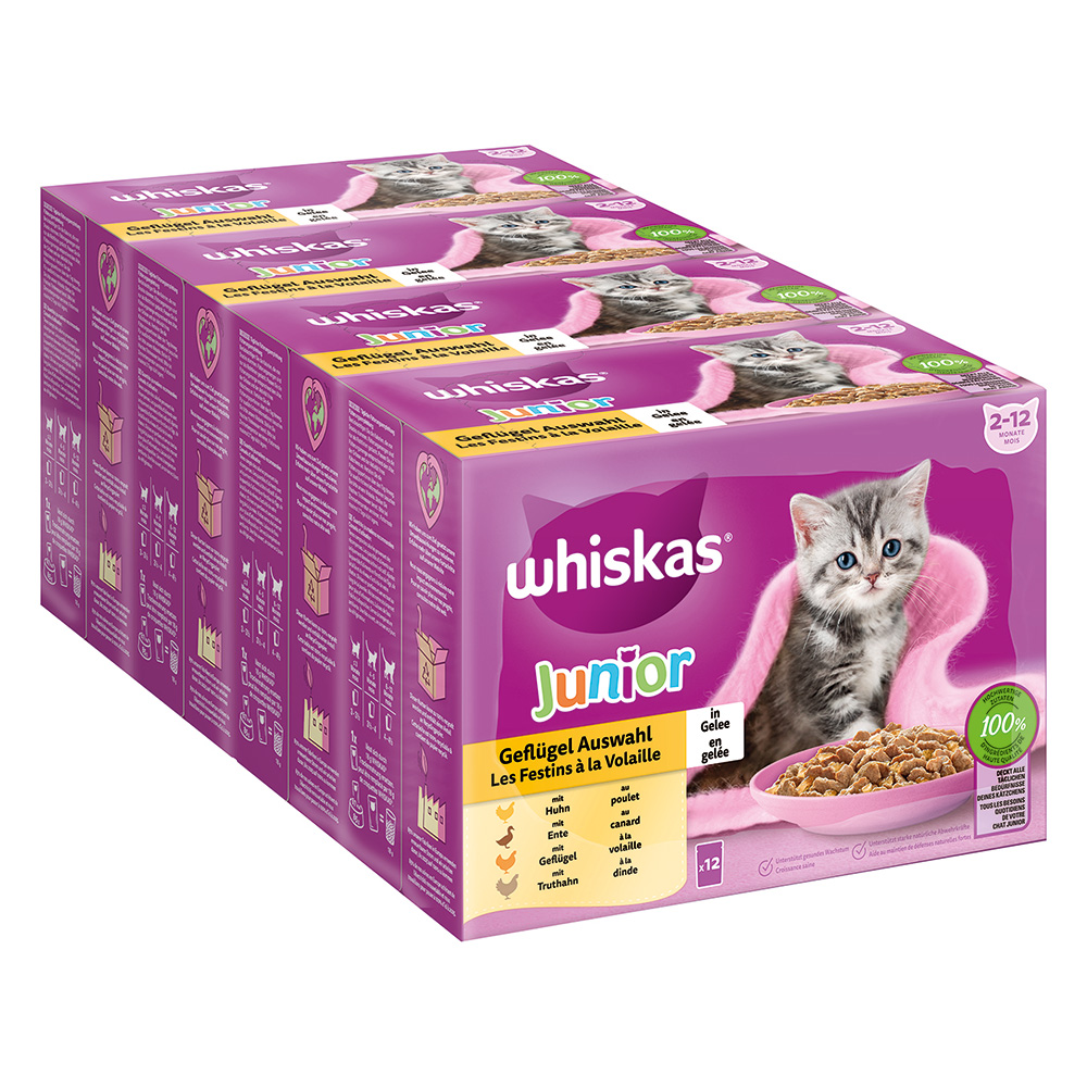 Jumbopack Whiskas Junior Frischebeutel 144 x 85 g - Geflügelauswahl in Gelee von Whiskas