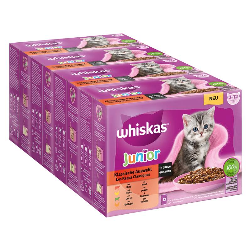 Jumbopack Whiskas Junior Frischebeutel 144 x 85 g - Klassische Auswahl in Sauce von Whiskas