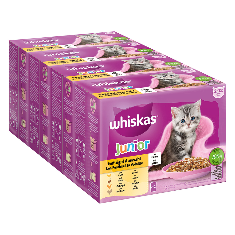 Jumbopack Whiskas Junior Frischebeutel 96 x 85 g - Geflügelauswahl in Gelee Jumbopack Whiskas Junior Frischebeutel 96 x 85 g - Geflügelauswahl in Gelee von Whiskas