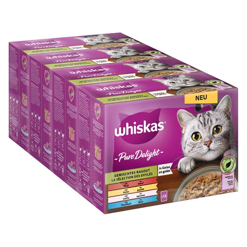 Jumbopack Whiskas Pure Delight Portionsbeutel 144 x 85 g - Gemischtes Ragout in Gelee von Whiskas