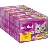 Jumbopack Whiskas Senior Frischebeutel 96 x 85 g - 11+ Geflügelauswahl in Gelee von Whiskas