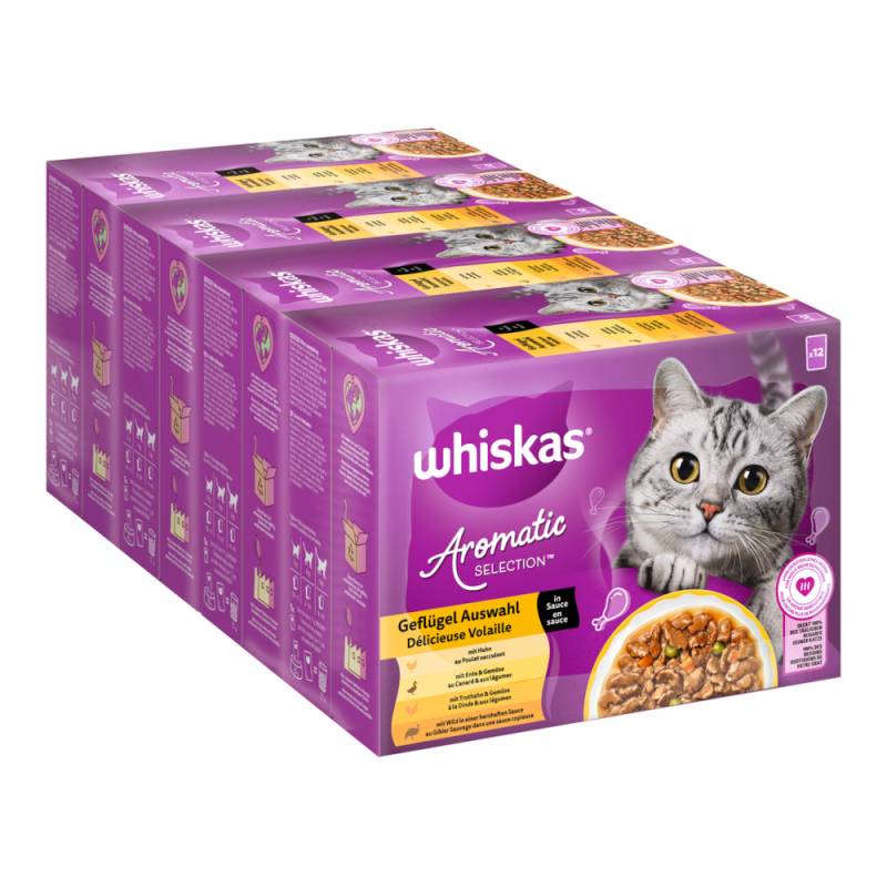 Sparpaket Whiskas 1+ Aromatic Selection 96 x 85 g - Geflügel in Sauce von Whiskas