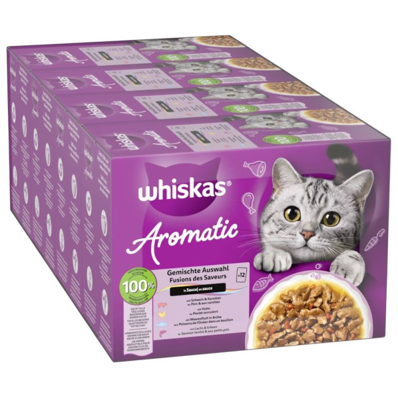 Sparpaket Whiskas 1+ Aromatic Selection 96 x 85 g - Mix in Sauce von Whiskas