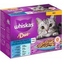 Whiskas Duo Multipack Ocean Delights in Gelee 12 x 85g von Whiskas