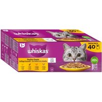 Whiskas Mega Pack 1+ Geflügel Auswahl in Gelee 40 x 85g Whiskas Mega Pack 1+ Geflügel Auswahl in Gelee 40 x 85g von Whiskas