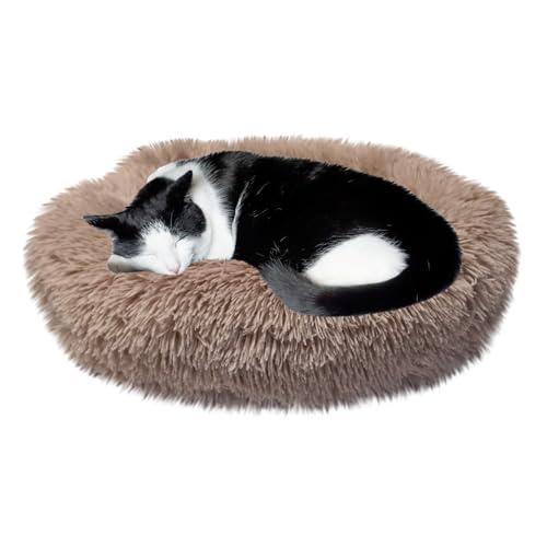Whiskers & Friends Katzenbett, Katzenbetten für Indoor-Katzen, waschbar, kleines Hundebett, beruhigendes Haustierbett, Katzenbetten und Möbel, großes Katzenbett, Kätzchenbett Whiskers & Friends Katzenbett, Katzenbetten für Indoor-Katzen, waschbar, kleines Hundebett, beruhigendes Haustierbett, Katzenbetten und Möbel, großes Katzenbett, Kätzchenbett von Whiskers & Friends