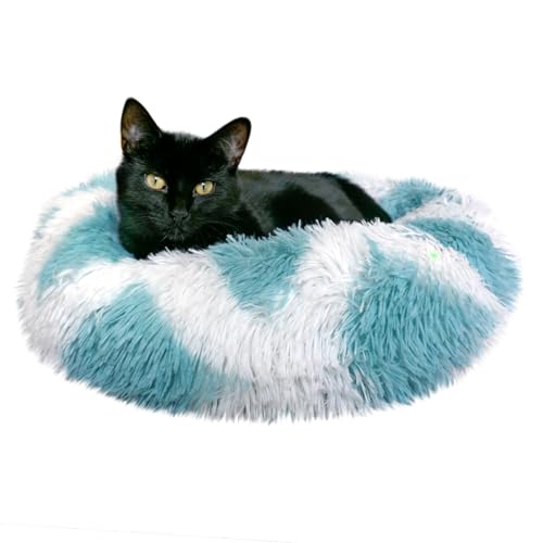 Whiskers & Friends Katzenbett, Katzenbetten für Indoor-Katzen, waschbar, kleines Hundebett, beruhigendes Haustierbett, Katzenbetten und Möbel, großes Katzenbett, Kätzchenbett Whiskers & Friends Katzenbett, Katzenbetten für Indoor-Katzen, waschbar, kleines Hundebett, beruhigendes Haustierbett, Katzenbetten und Möbel, großes Katzenbett, Kätzchenbett von Whiskers & Friends