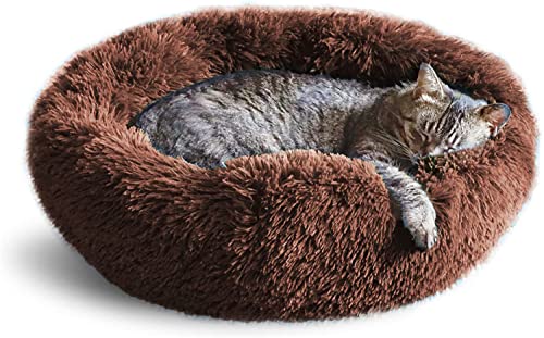 Whiskers & Friends Katzenbett, Katzenbetten für Indoor-Katzen, waschbar, orthopädisch, weich, flauschig, rund, beruhigendes Haustierbett für kleine bis große Kätzchen und Hunde, kleine Hundebetten und Whiskers & Friends Katzenbett, Katzenbetten für Indoor-Katzen, waschbar, orthopädisch, weich, flauschig, rund, beruhigendes Haustierbett für kleine bis große Kätzchen und Hunde, kleine Hundebetten und von Whiskers & Friends