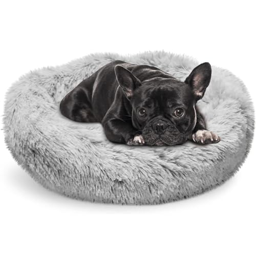Whiskers & Friends Kleines Hundebett Kleine Größe Hund, Katzenbett, Haustierbetten für kleine Hunde, Katzenbetten für Indoor Katzen Waschbar, Katzenbetten & Möbel, Kätzchenbett, Kleine Hundebetten, Whiskers & Friends Kleines Hundebett Kleine Größe Hund, Katzenbett, Haustierbetten für kleine Hunde, Katzenbetten für Indoor Katzen Waschbar, Katzenbetten & Möbel, Kätzchenbett, Kleine Hundebetten, von Whiskers & Friends