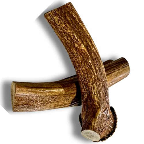 HUOXIG Whitetail Naturals Hundegeweih, XXL, Premium-Hirschgeweih für große Hunde, natürliches Jumbo-Geweih für Hunde, perfekt für Aggressive Kauer von WhiteTail Naturals