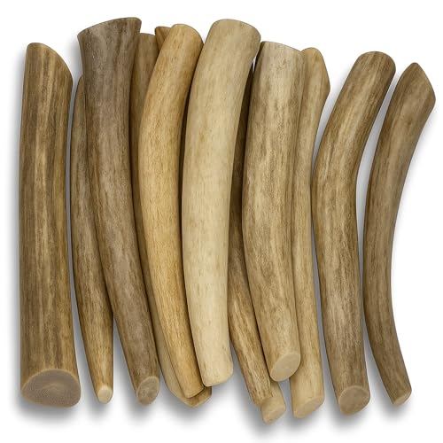 WhiteTail Naturals Premium Bio Rothirschgeweih für kleine Hunde | (Multipack) | Horn aus Horn aus Horn | Natürliches Hundekauen für Welpen u von WhiteTail Naturals