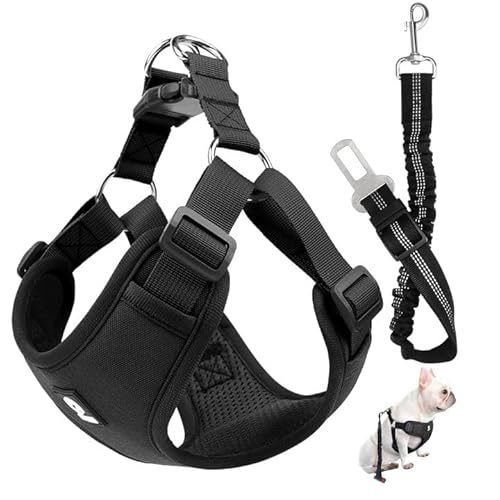 Hundegeschirr mit Sicherheitsgurt für Auto, Weiches, Atmungsaktives Mesh-Hunde Anschnallgurt Auto, Verstellbarer Gummizug Autogurt Hunde 53cm-74cm für die Befestigung Im Autositz (Schwarz, S) von WhizNook