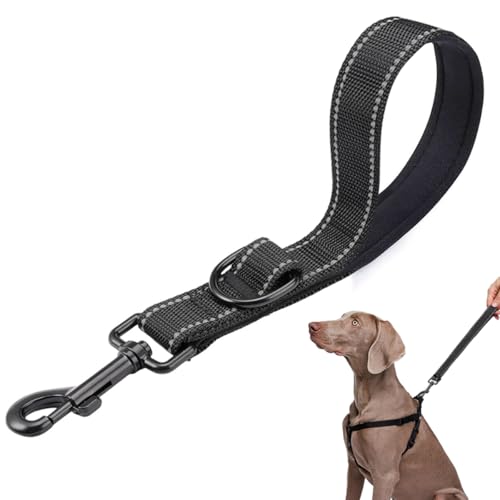 Starke Kurze Hundeleine, Trainingsleine für Hunde Mit Handschlaufe D-Karabiner, 2.5 cm X 30 cm Hunde Schleppleine, Robuste PVC Leine Hund, Wasserdicht Schleppleine, Schleppleine Mit Metallhaken Starke Kurze Hundeleine, Trainingsleine für Hunde Mit Handschlaufe D-Karabiner, 2.5 cm X 30 cm Hunde Schleppleine, Robuste PVC Leine Hund, Wasserdicht Schleppleine, Schleppleine Mit Metallhaken von WhizNook