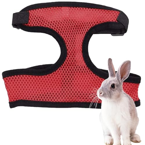 Geschirr für kleine Katzen, Geschirr für Kaninchen, weiche Kaninchenweste aus atmungsaktivem Mesh | Ausbruchsicher für kleine Tiere, Kleid für kleine Haustiere für Camping, Wandern, Geschirr für kleine Katzen, Geschirr für Kaninchen, weiche Kaninchenweste aus atmungsaktivem Mesh | Ausbruchsicher für kleine Tiere, Kleid für kleine Haustiere für Camping, Wandern, von Whnbuij