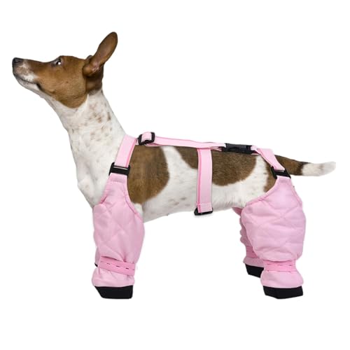 Hunde-Leggings – wasserdichte Pfotenschützer, Hunde-Stiefel-Leggings | Verstellbare, rutschfeste Hundeschuhe zum Spazierengehen, Laufen und Wandern, schmutzabweisende Hundeleggings für kleine, mittelg Hunde-Leggings – wasserdichte Pfotenschützer, Hunde-Stiefel-Leggings | Verstellbare, rutschfeste Hundeschuhe zum Spazierengehen, Laufen und Wandern, schmutzabweisende Hundeleggings für kleine, mittelg von Whnbuij