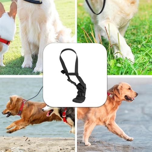 Hundeschuhe - Hundeschuhe für kleine Hunde, Schutzabdeckungen für Vorderbeine | Vorbeugung des Leckens der Vorderpfoten von Haustieren, C-Pfotenschutz Hundeschuhe - Hundeschuhe für kleine Hunde, Schutzabdeckungen für Vorderbeine | Vorbeugung des Leckens der Vorderpfoten von Haustieren, C-Pfotenschutz von Whnbuij