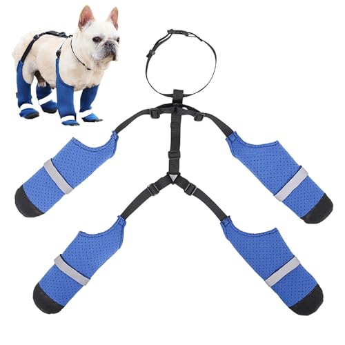Hundestiefel - Hundeschuhe, Leuchtende Hundestiefel | Bequeme Pfotenschuhe mit reflektierenden Riemen, rutschfeste Regenschuhe für alle Jahreszeiten, pr Hundestiefel - Hundeschuhe, Leuchtende Hundestiefel | Bequeme Pfotenschuhe mit reflektierenden Riemen, rutschfeste Regenschuhe für alle Jahreszeiten, pr von Whnbuij