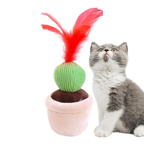 Katzenspielzeug für Indoor-Katzen, Plüschspielzeug für Indoor-Katzen, Kauspielzeug für Katzen aus Plüsch - Weiches Spielzeug zum Zahnen der Katze, Katzenspielzeug von Whnbuij