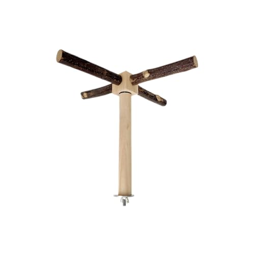 PERCHIO PERCHIO BIRCA PERCHIO, Barschständer für Vögel aus Holz | Kletterfisch für Sittich für Käfig - für Übungskäfig im Fitnessstudio für Papageien aus Holz PERCHIO PERCHIO BIRCA PERCHIO, Barschständer für Vögel aus Holz | Kletterfisch für Sittich für Käfig - für Übungskäfig im Fitnessstudio für Papageien aus Holz von Whnbuij