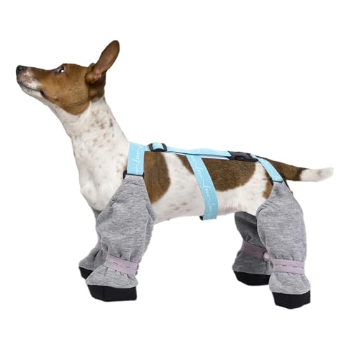 Pfoten-Hundestiefel-Leggings, wasserdichte Pfotenschutz-Hundeschuhe, Meggings – Hunde-Schneestiefel für kleine, mittelgroße und große Hunde, schmutzabweisend, sturzsicher, für Spaziergänge im Freien, Pfoten-Hundestiefel-Leggings, wasserdichte Pfotenschutz-Hundeschuhe, Meggings – Hunde-Schneestiefel für kleine, mittelgroße und große Hunde, schmutzabweisend, sturzsicher, für Spaziergänge im Freien, von Whnbuij