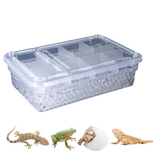 Reptilien-Zuchtbox – leichte Reptilienschlüpfbox | 20 Gitter, Amphibischer Schlupfbehälter | Inkubationsbehälter für Schlangen, Eidechsen, Reptilien, Geckos von Whnbuij