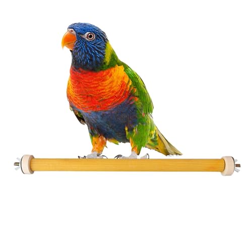 Sitzstange aus Holz für Vögel, Sitzstangen für Vögel, Kauspielzeug für Sittiche, mit natürlichen Übungen, Pfotenmahlen, Sitzstangen für Vögel, Ständer für Vögel von Whnbuij