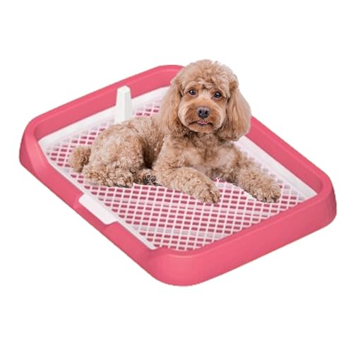 Töpfchentablett für Haustiere – Toilette mit Netzgitter, wiederverwendbarer, einfach zu installierender Urinhalter | Pee Pad Hundetoilette, flaches Töpfchentablett mit Netzgittern, Tiertöpfchenzubehör Töpfchentablett für Haustiere – Toilette mit Netzgitter, wiederverwendbarer, einfach zu installierender Urinhalter | Pee Pad Hundetoilette, flaches Töpfchentablett mit Netzgittern, Tiertöpfchenzubehör von Whnbuij