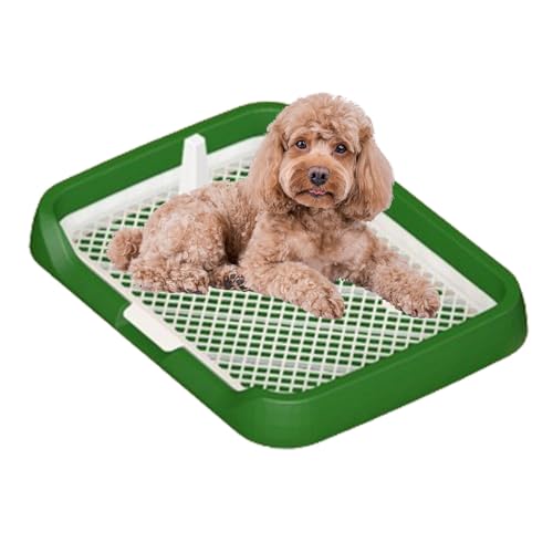 Töpfchentablett für Haustiere – Toilette mit Netzgitter, wiederverwendbarer, einfach zu installierender Urinhalter | Pee Pad Hundetoilette, flaches Töpfchentablett mit Netzgittern, Tiertöpfchenzubehör Töpfchentablett für Haustiere – Toilette mit Netzgitter, wiederverwendbarer, einfach zu installierender Urinhalter | Pee Pad Hundetoilette, flaches Töpfchentablett mit Netzgittern, Tiertöpfchenzubehör von Whnbuij